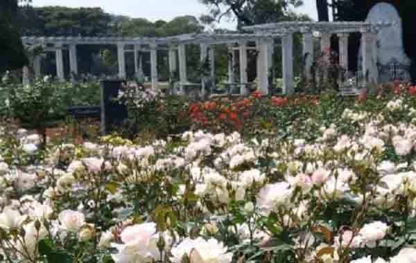 El Rosedal de Palermo