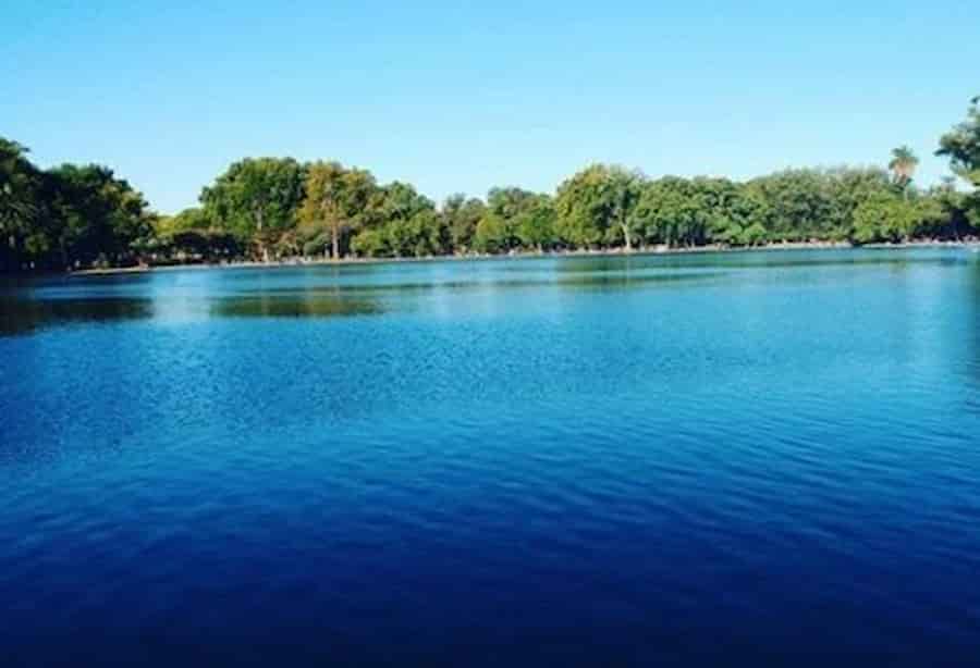 Palermo para extranjeros una guía para entender el barrio 17 Bosques verde arboles
