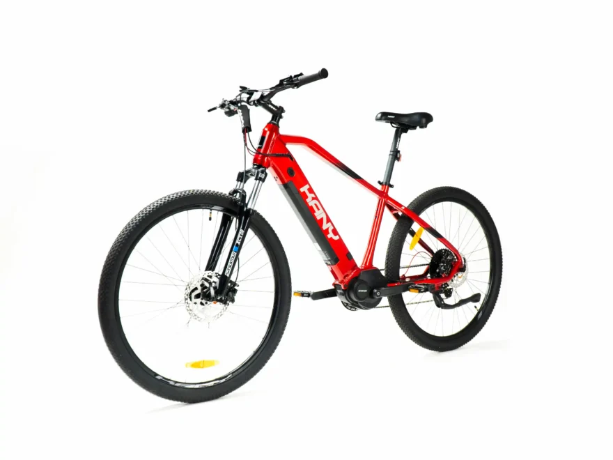 KANY ebike M290